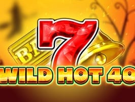 Wild Hot 40 Halloween